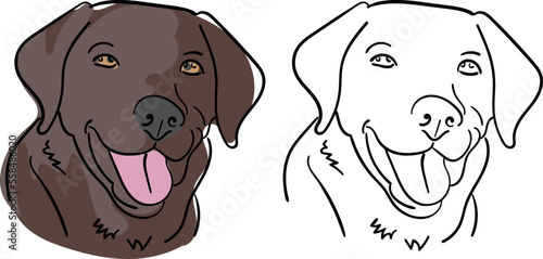 Labrador Retriever hand drawn with color splash. Dog sketch graphic.