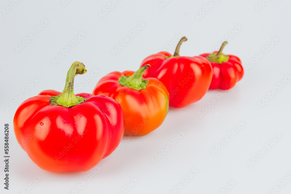 Colorful small red peppers on a white background. Sweet pepper Mini Bell. Assorted paprika. Peppers in a row. From bigger to smaller. Concept of growth and diversity. Colorful small red peppers on a white background. Sweet pepper Mini Bell. Assorted paprika. Peppers in a row. From bigger to smaller. Concept of growth and diversity.