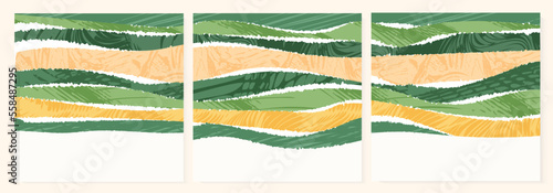 Green abstract rice field top view with texture vector square background. Nature pattern, eco illustration, countryside post design. Collection of agricultural landscape, simplicity ecology poster set