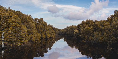 landscape with trees and clouds