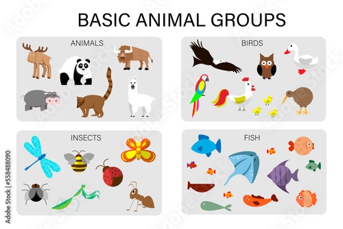 Basic animal groups. Insects, wild and domestic animals, fish, birds. Worksheet for kids