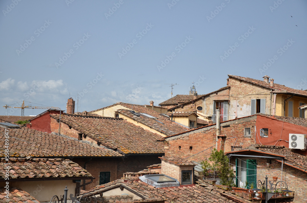 View of the roofs of Siena's houses