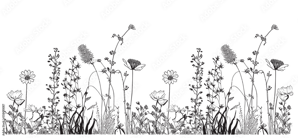 Wildflowers field border sketch hand drawn in doodle style Vector illustration - obrazy, fototapety, plakaty 