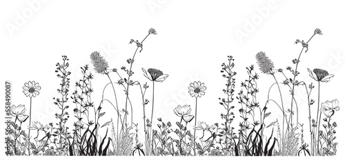 Leinwand Poster Wildflowers field border sketch hand drawn in doodle style Vector illustration