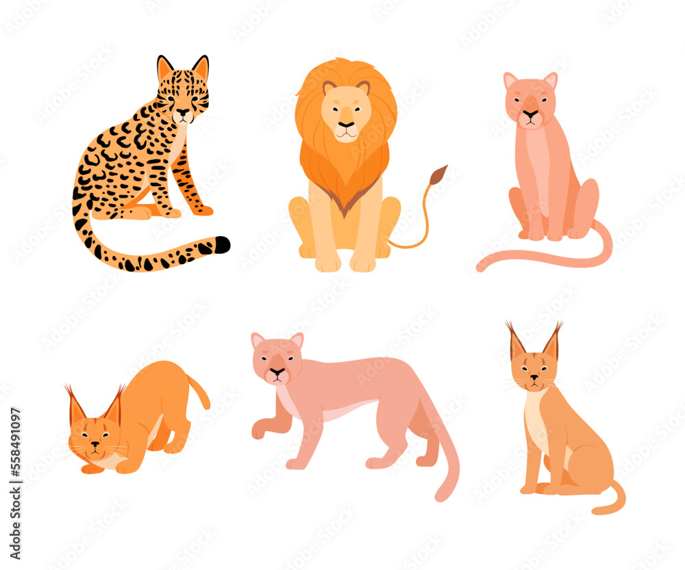 Caracal ocelot hot sale
