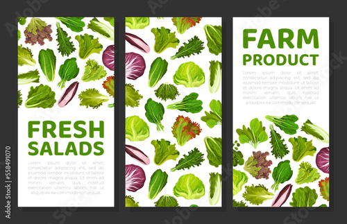 Fresh Salad Leaves Design with Green Vegetables Vector Template