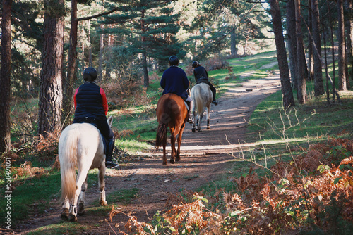 Billede på lærred Horse riding tourists in the autumn sunny forest.