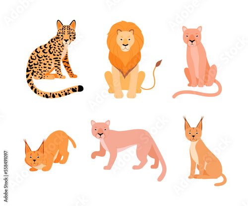 Set of different wild cats. Caracal, lion, cougar, puma, ocelot cartoon vector illustration photo