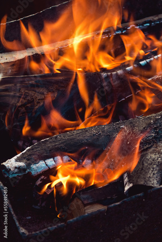 Bonfire close-up, burning firewood