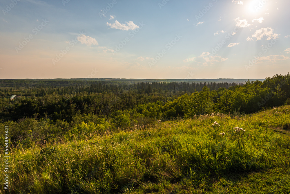 Glenmore Park nature sceneries, Calgary, Alberta, Canada Glenmore Park nature sceneries, Calgary, Alberta, Canada