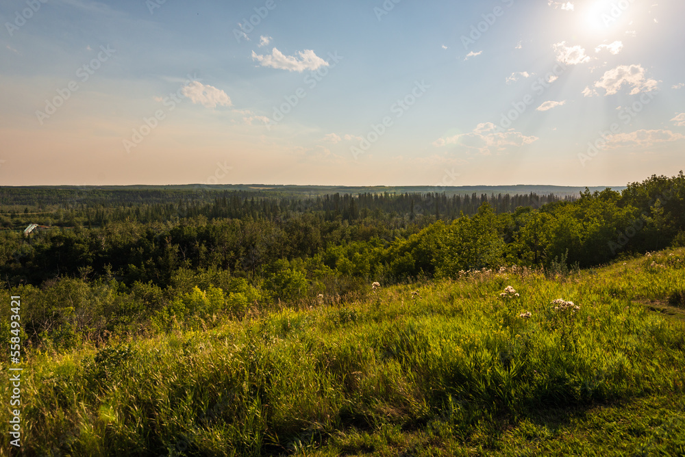 Glenmore Park nature sceneries, Calgary, Alberta, Canada