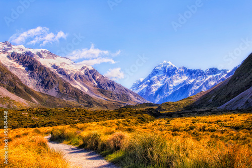 NZ Mt Cook Track vale