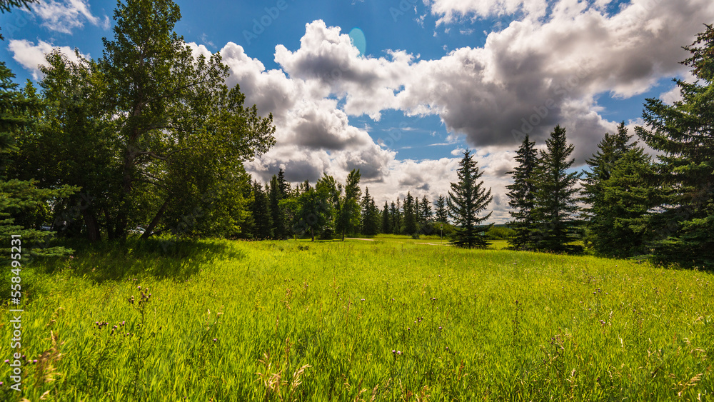 Glenmore Park nature sceneries, Calgary, Alberta, Canada