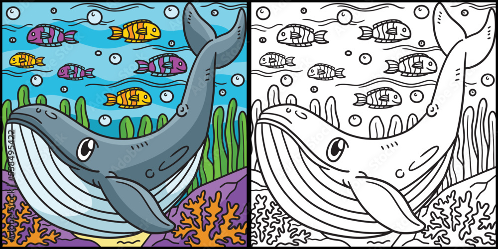 Blue Whale Coloring Page Colored Illustration Stock Vector | Adobe Stock