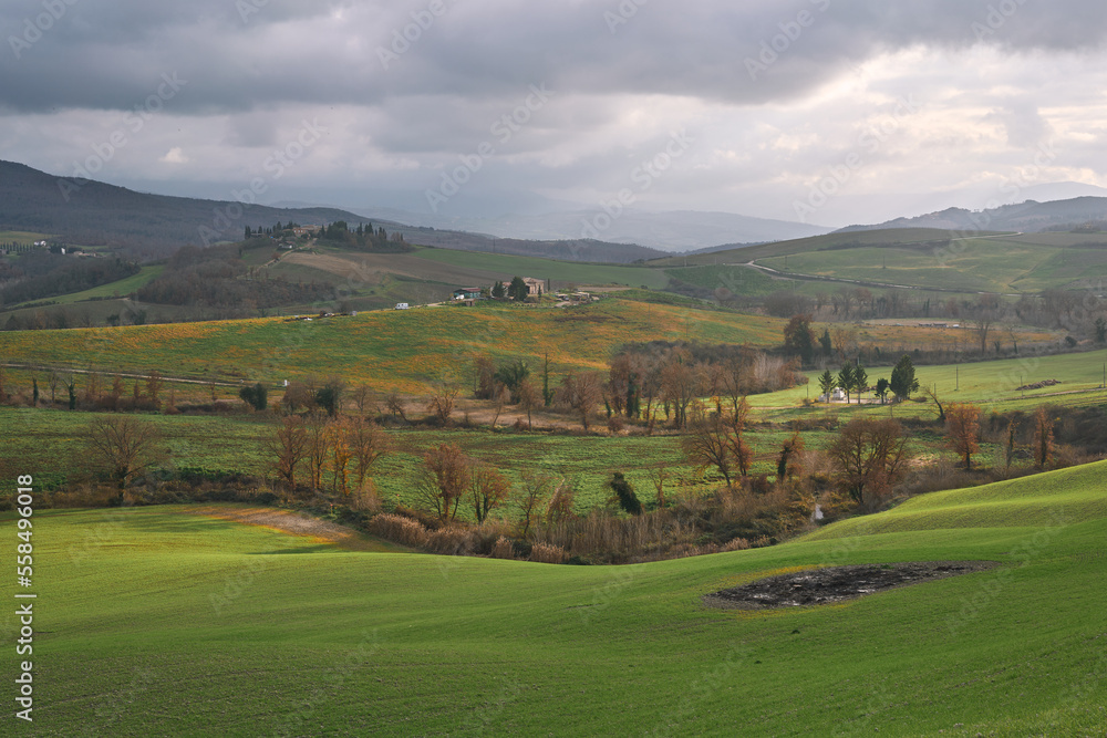 Rural landscape at San Quirico d'Orcia in Val d'Orcia, Tuscany Rural landscape at San Quirico d'Orcia in Val d'Orcia, Tuscany