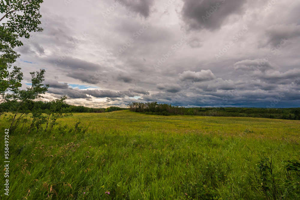 Obraz premium Glenmore Park nature sceneries, Calgary, Alberta, Canada
