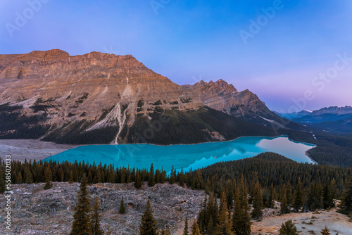 Morning over Peyto Lake in Canada's Banff National Park