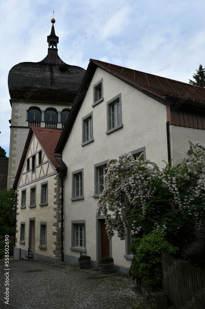 Häuser in der Martinsgasse mit Martinsturm in Bregenz am Bodensee