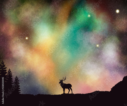 Bautiful aurora sky with siluet forest and deer