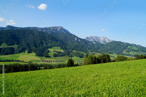 a beautiful alpine village in the lush green alpine valley in the Austrian Alps of the Schladming-Dachstein region (Steiermark or Styria, Austria) 