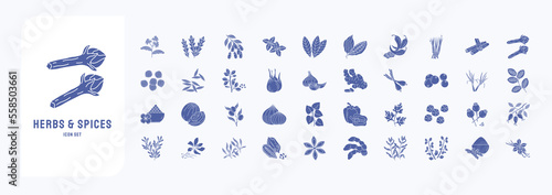 Herbs and Spices vector icon set