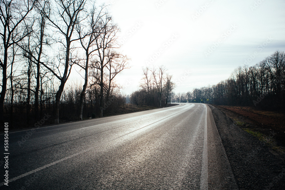 Fototapeta premium New asphalt road with markings and road signs in the sun's rays
