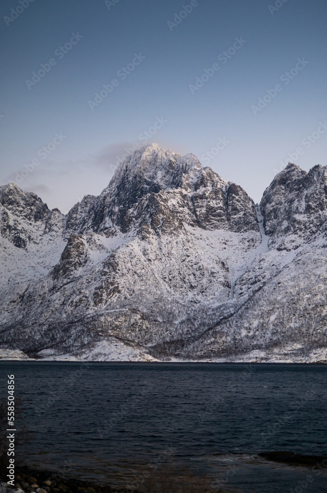 Lofoten islands, Norway. Nothen light, mountains and frozen ocean. Winter landscape at the night time. Norway travel - image. 