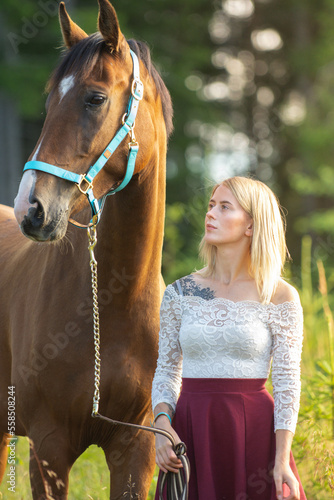 Horse portrait