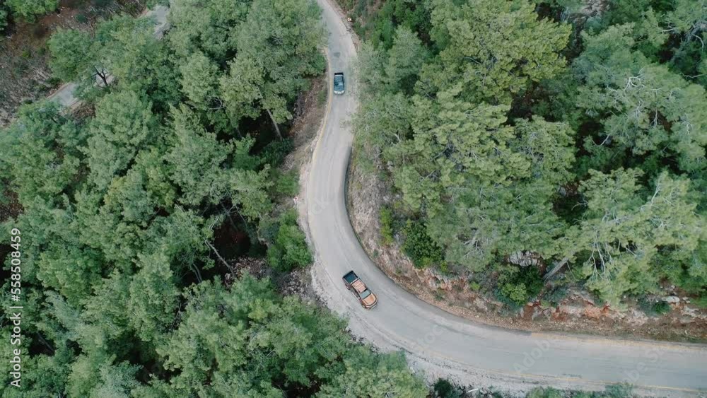 A car moving on a beautiful forest road from the front view A pickup truck on a mountain forest road A car moving on a beautiful forest road from the front view A pickup truck on a mountain forest road