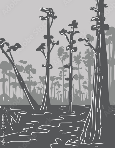 Mono line illustration of Everglades National Park a wetlands preserve on the southern tip of Florida, United States done in monoline line drawing art style with grayscale shading.