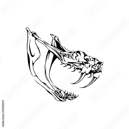 vector illustration of fang animal teeth