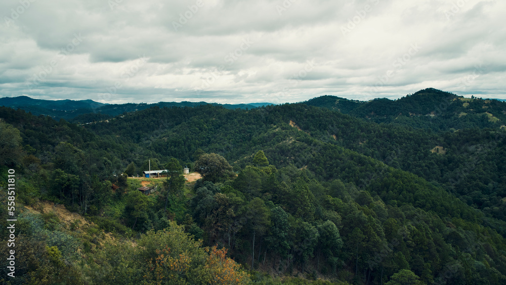 Fototapeta premium SIERRA DE OAXACA