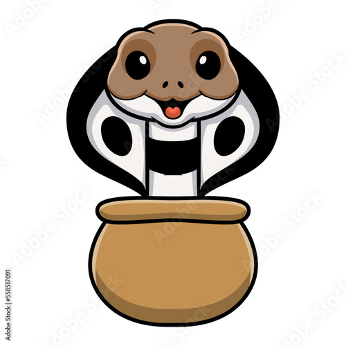 Cute indian king cobra cartoon out from pot