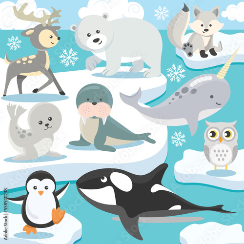 Arctic baby animals vector artwork