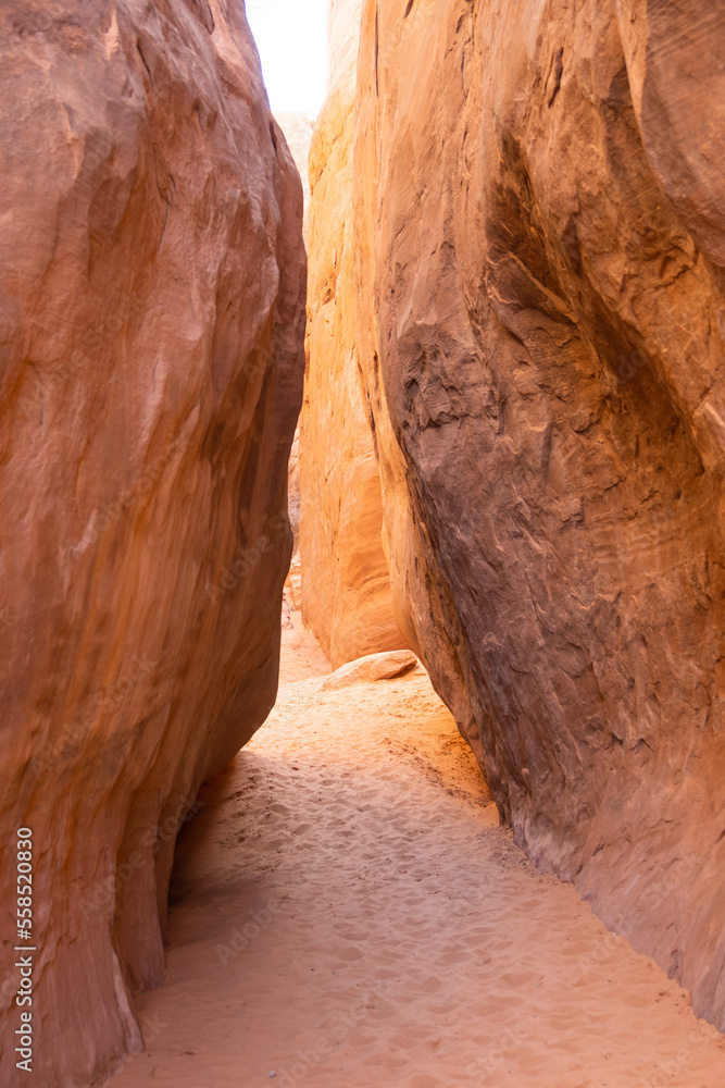 Obraz premium A narrow slot through a desert canyon with a sandy floor