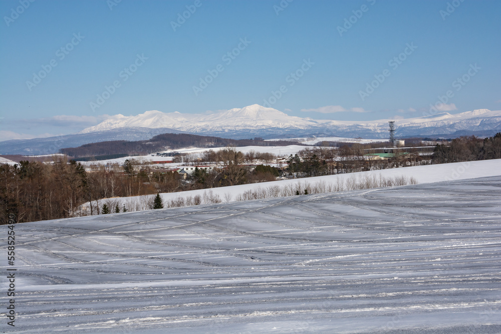 冬の晴れた日の融雪剤がまかれた畑と雪山　大雪山
