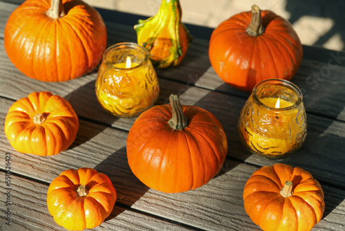 Many whole ripe pumpkins and candles on wooden table outdoors