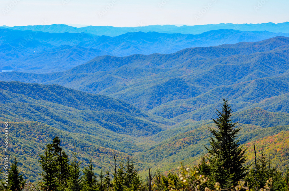 Fototapeta premium deep mountain landscape