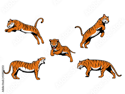 Set of Tigers Vector Cartoon Illustration Mascot Logo Isolated on a White Background