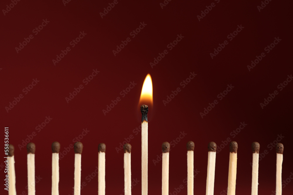 Burning match among unlit ones on red background, closeup