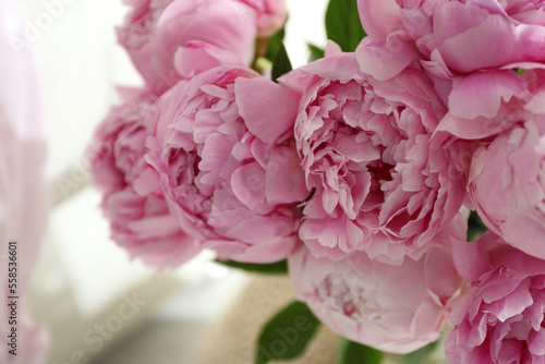 Closeup view of beautiful fresh pink peonies