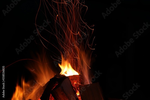 Beautiful bright bonfire with burning wood outdoors at night, space for text