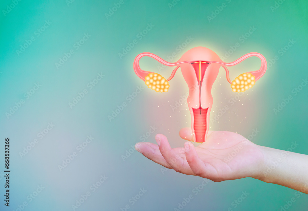 hand holding a Tshaped birth control intrauterine device, IUD inside