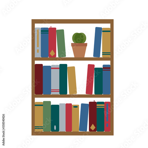 Simple flat wooden bookshelf with three shelves, books and cactus