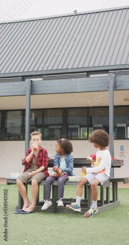 Vertical video of three diverse schoolchildren eating packed lunches, talking outdoors, copy space photo