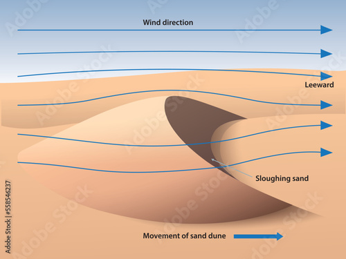 Vector illustration of dunes infographic