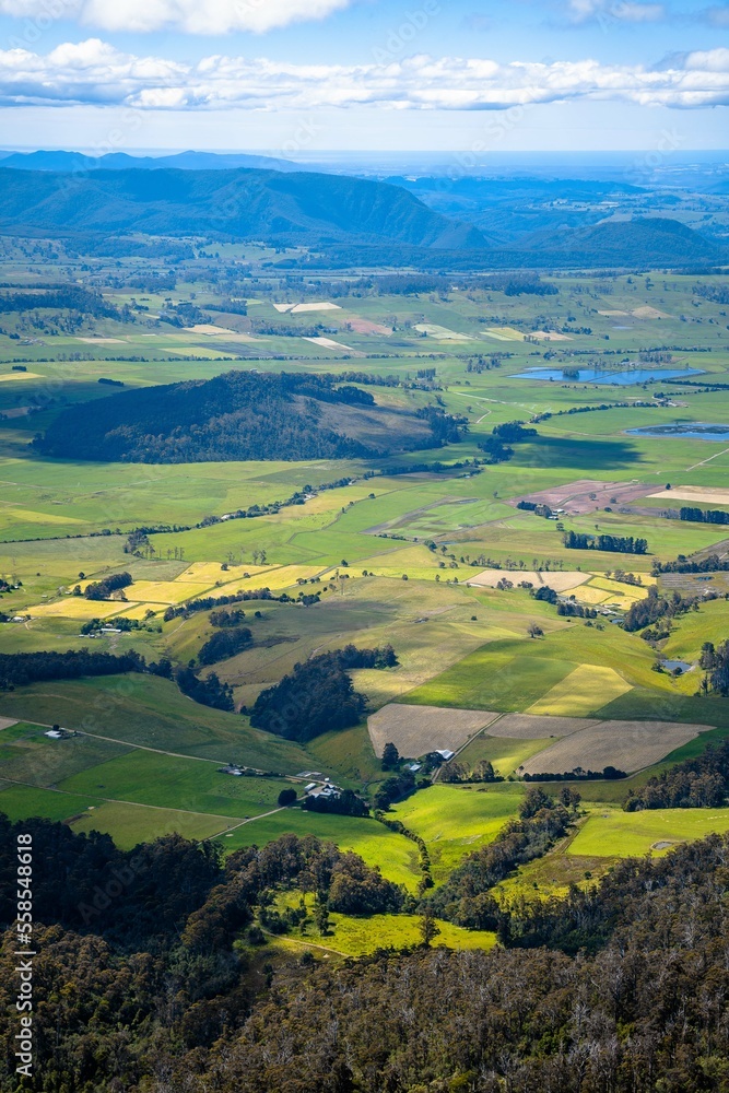 paddocks in the Meander Valley