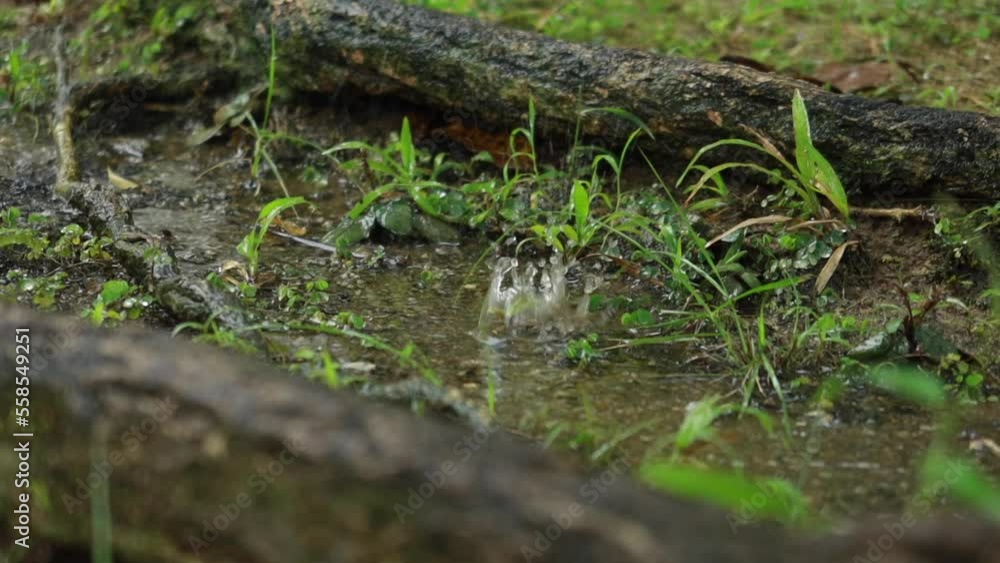 top view of rain dropping on stone top view of rain dropping on stone