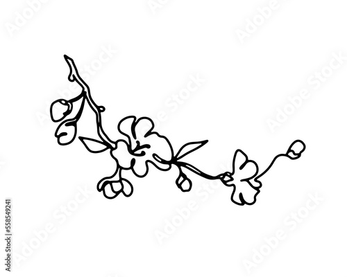 Cherry branch with flowers one line art hand drawn black and white illustration