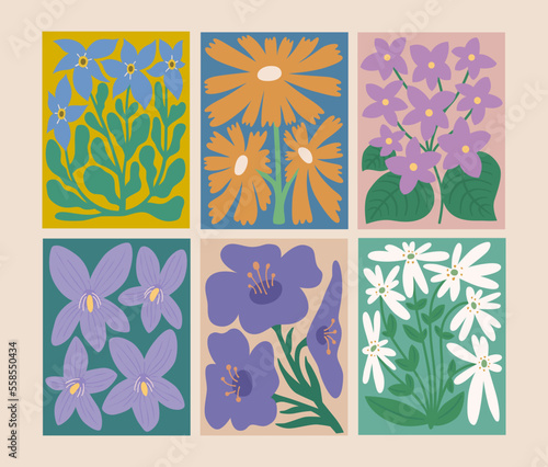 Colorful floral elements collection